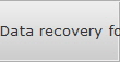 Data recovery for Tyrone data
